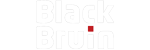 Black Ruin